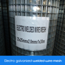 Electro galvanizado recubierto soldado malla de alambre / Electro malla de alambre soldado recubierto de zinc